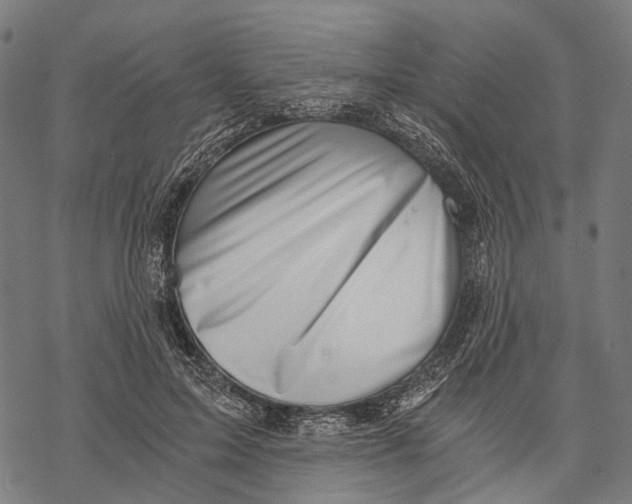 X0000068850599200605261707
