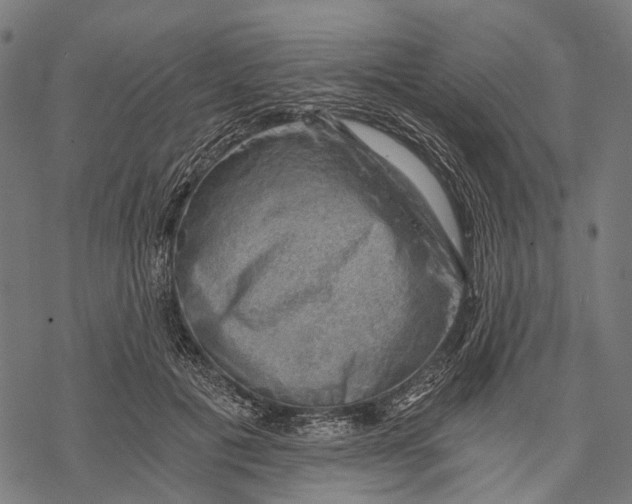 X0000068850601200605261707