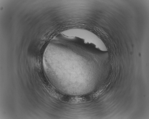 X0000068850607200605261707