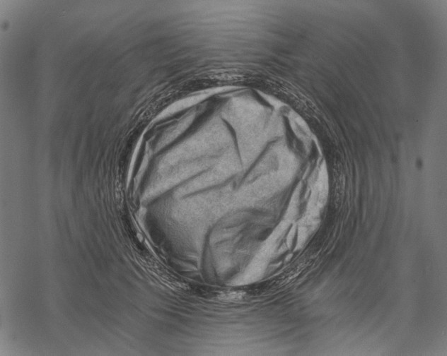 X0000068850609200605261707