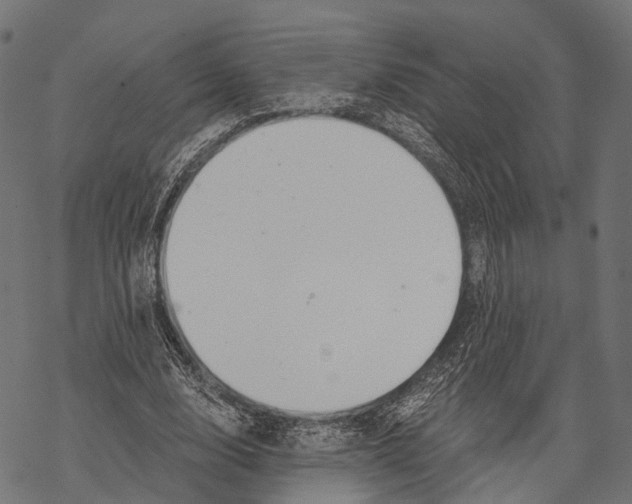 X0000068850632200605261706