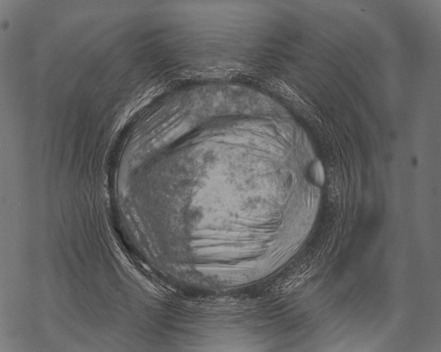 X0000068850634200605261706