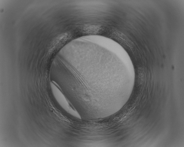 X0000068850641200605261706