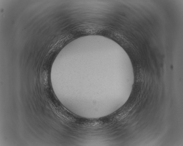 X0000068850646200605261706