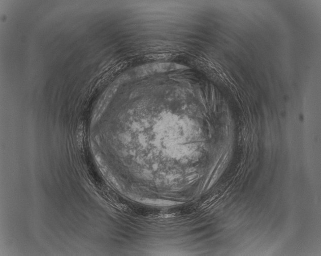 X0000068850647200605261706