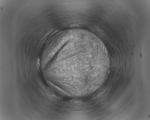 X0000068850648200605261706