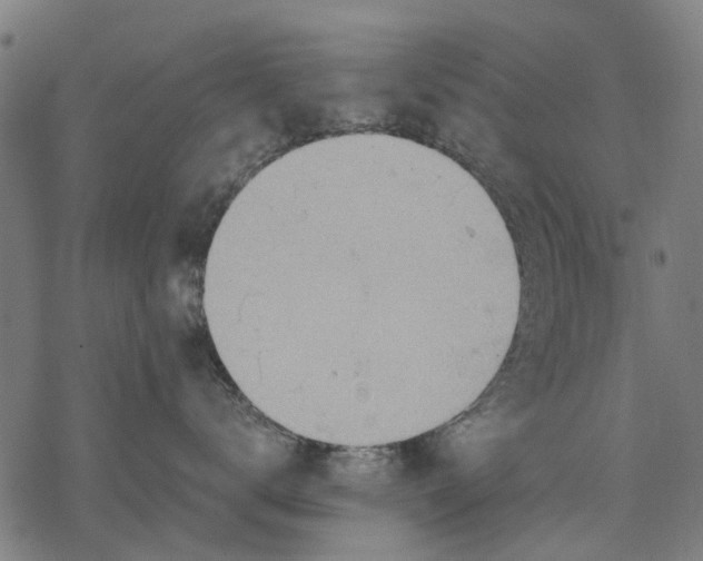 X0000068850672200605261707
