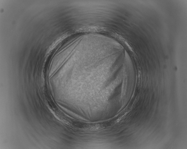 X0000068850674200605261706