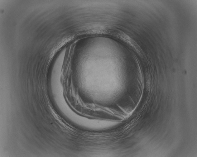 X0000068850677200605261706