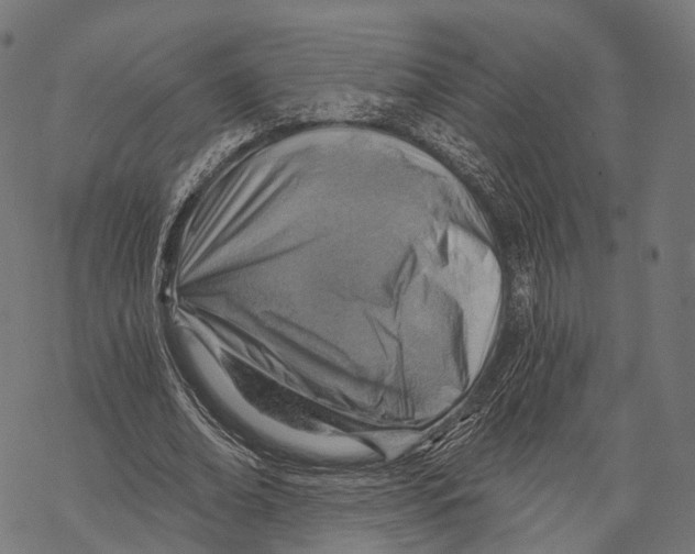 X0000068850678200605261706
