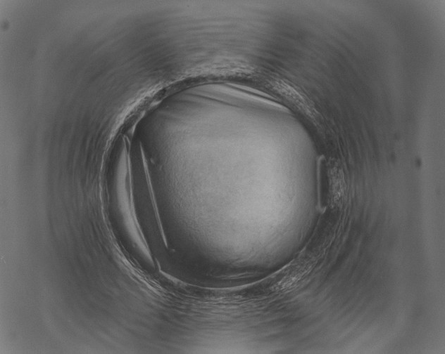 X0000068850680200605261706