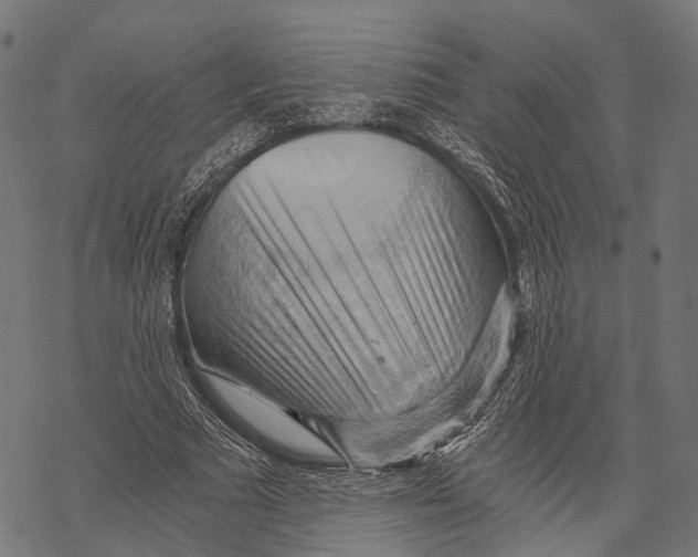 X0000068850681200605261706