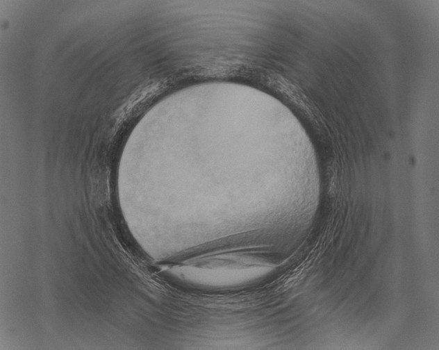 X0000068850685200605261706