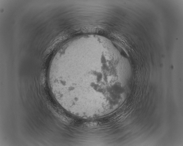 X0000068850687200605261706