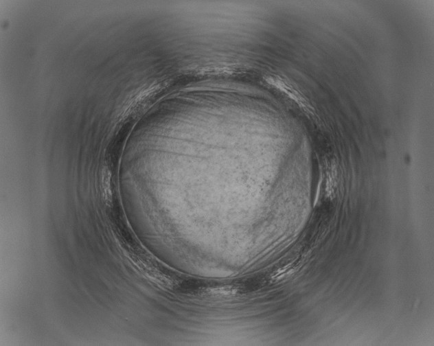 X0000068850692200605261706