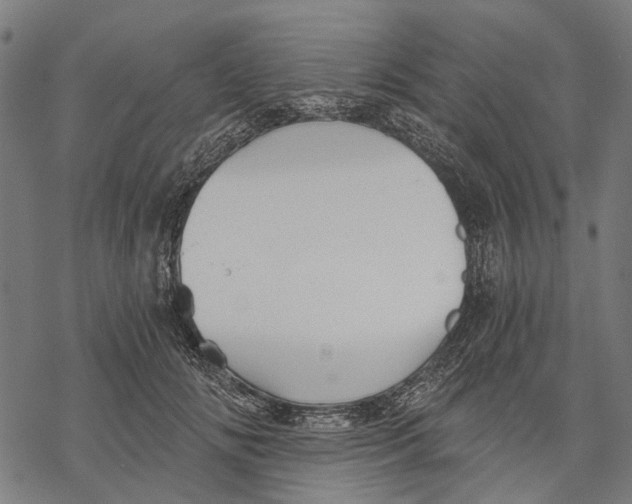 X0000068850702200605261706