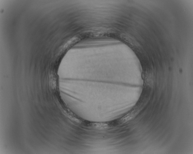 X0000068850719200605261705