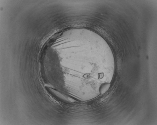 X0000068850721200605261704