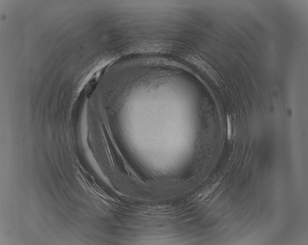X0000068850723200605261704