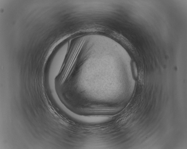 X0000068850724200605261704