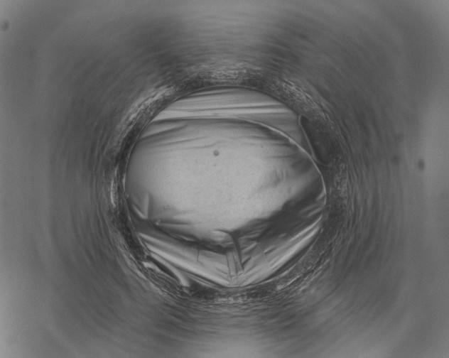 X0000068850744200605261705