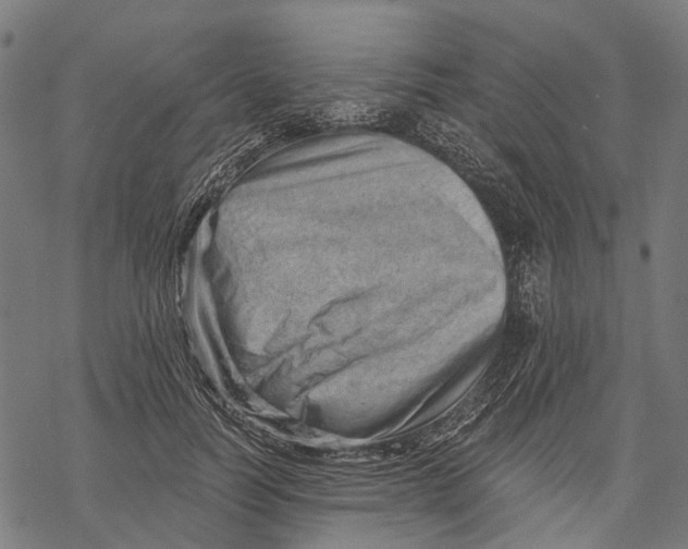 X0000068850746200605261705