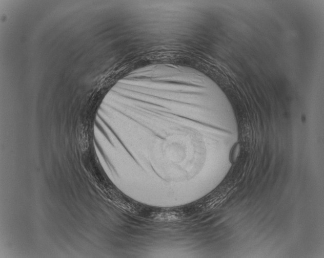 X0000068850751200605261705