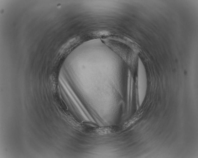 X0000068850762200605261705