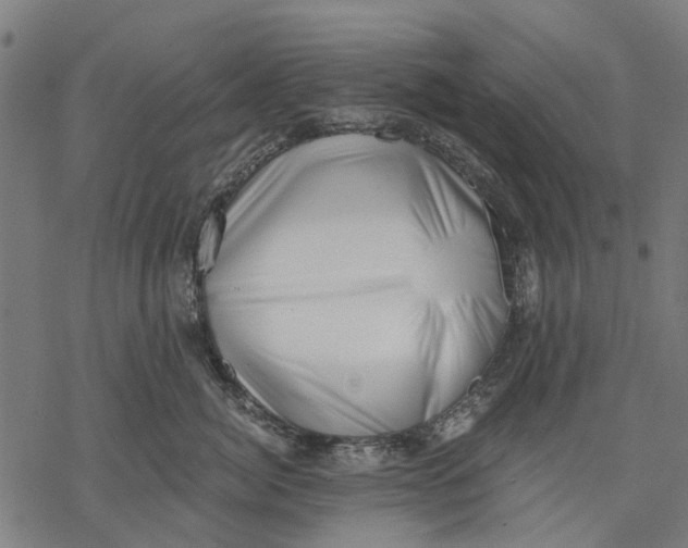 X0000068850764200605261705