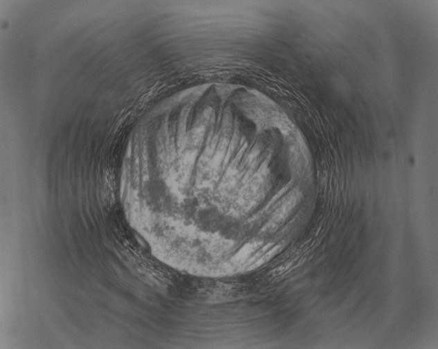 X0000068850772200605261704