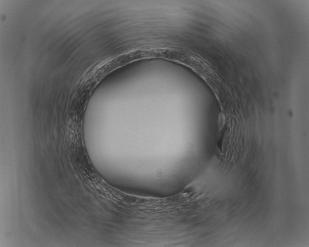 X0000068850773200605261704