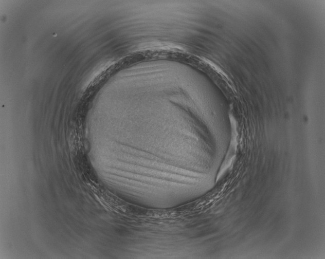 X0000068850775200605261704