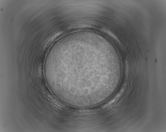 X0000068850777200605261704