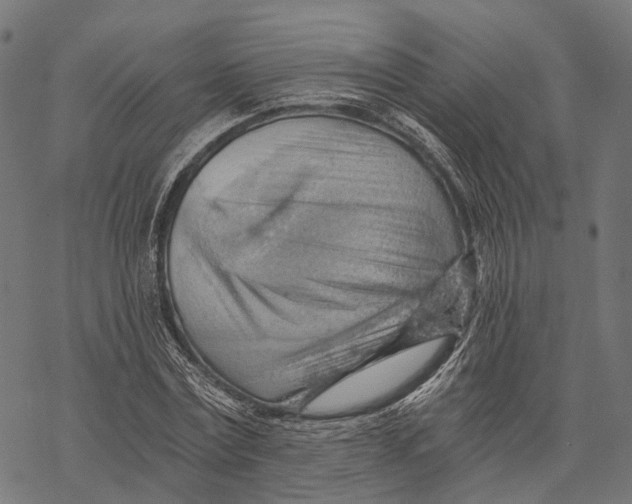 X0000068850779200605261704