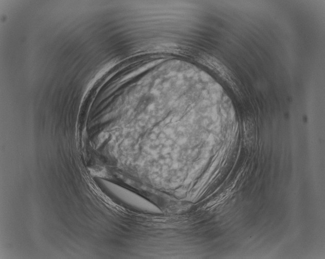 X0000068850780200605261704