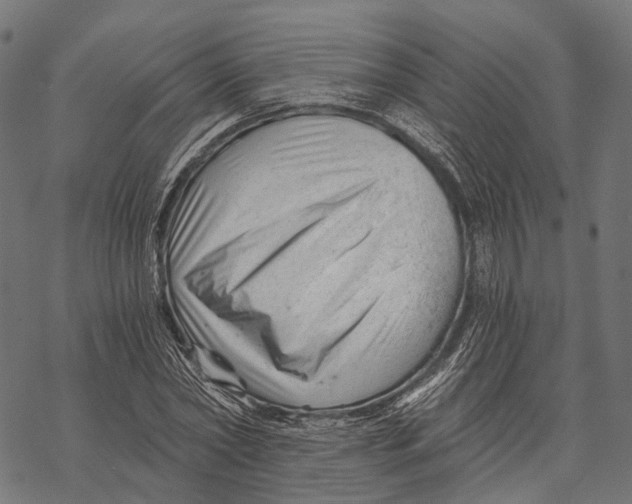 X0000068850782200605261704