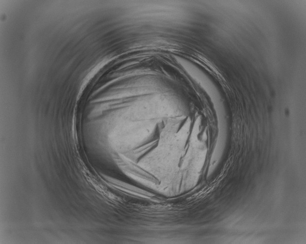 X0000068850788200605261704