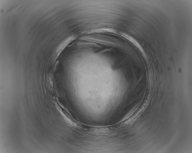X0000068850809200605261704