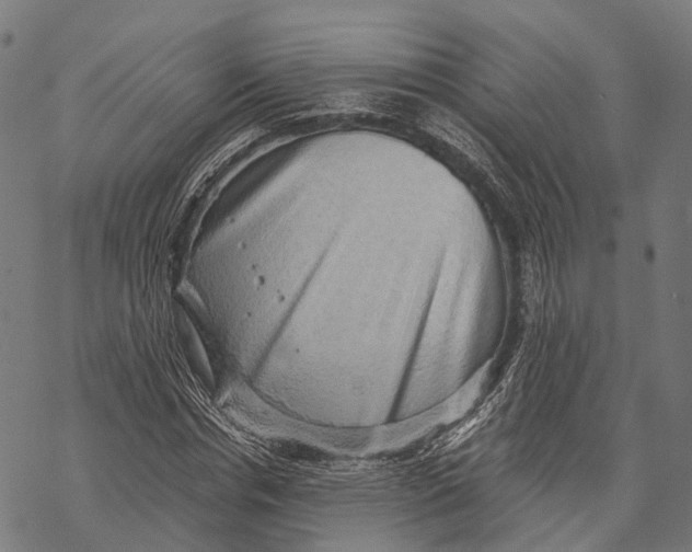 X0000068850826200605261703