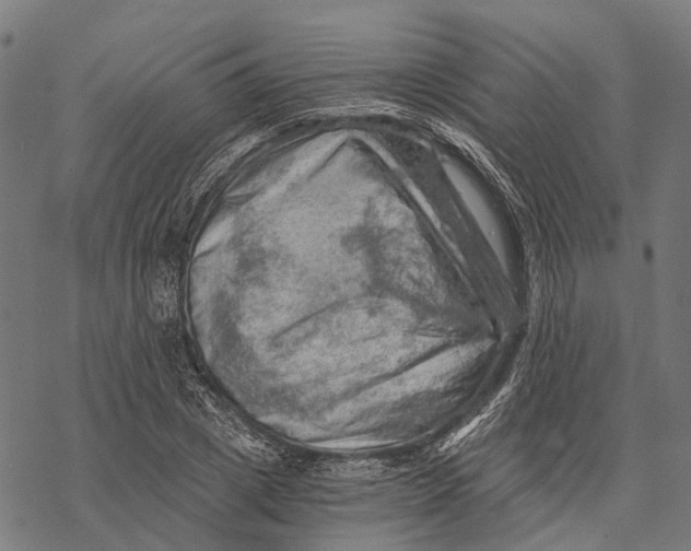 X0000068850833200605261703