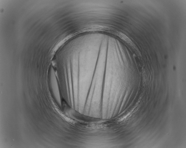X0000068850842200605261703