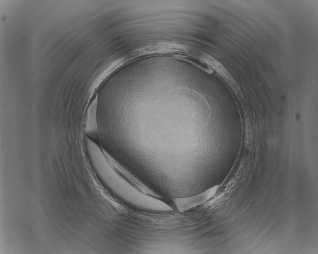 X0000068850850200605261703