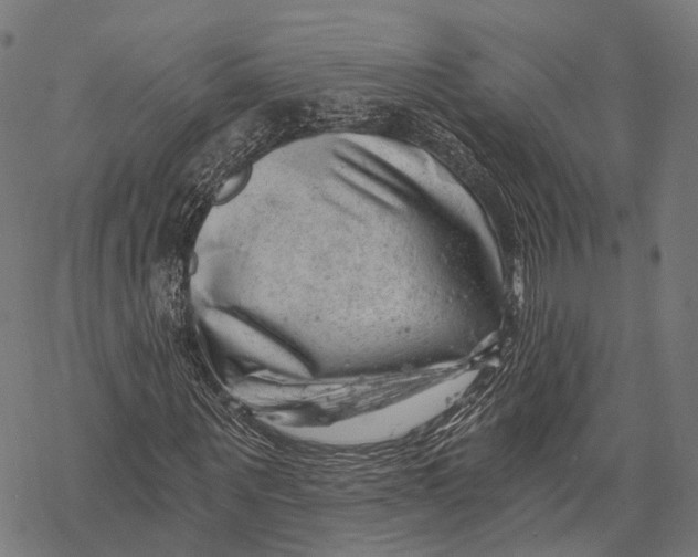 X0000068850867200605261703