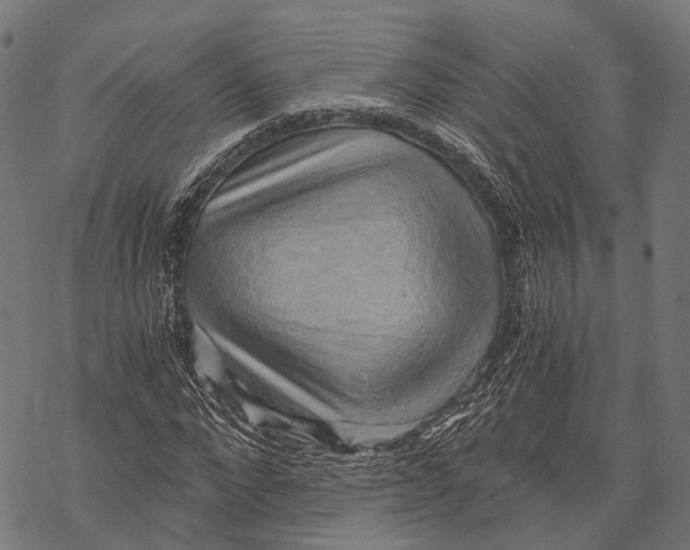 X0000068850872200605261703