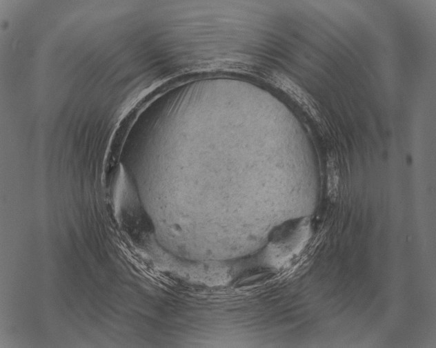 X0000068850876200605261703