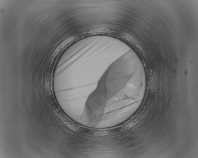 X0000068850882200605261703