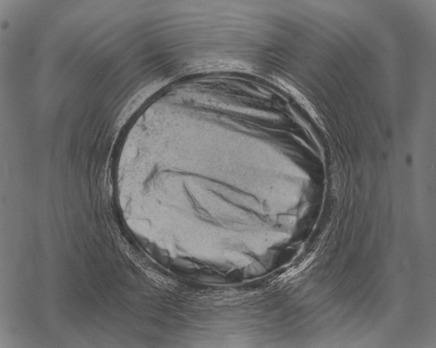 X0000068850885200605261703
