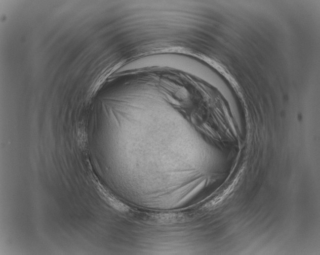 X0000068850897200605261702