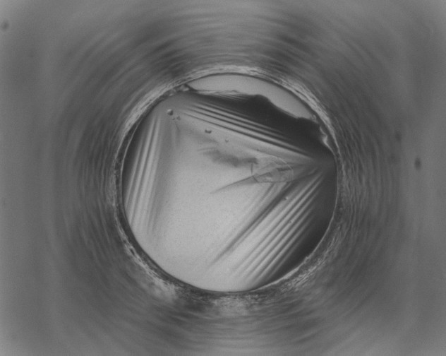 X0000068850898200605261702