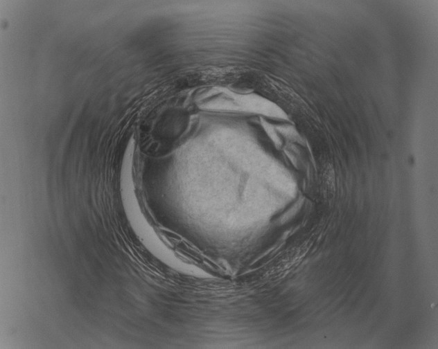 X0000068850914200605261701